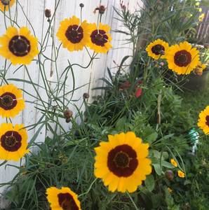 Meet your Posher, Angelica